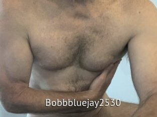 Bobbbluejay2530