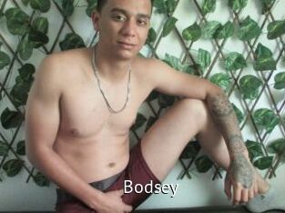 bodsey Zizi X