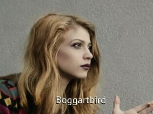 Boggartbird