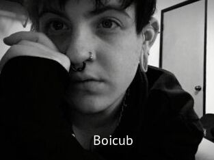Boicub