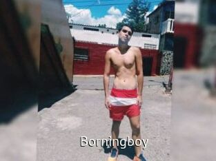 Borningboy