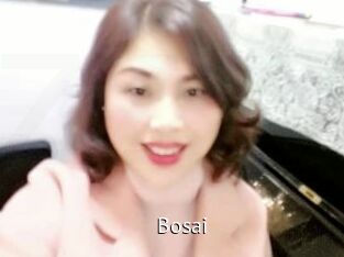 Bosai