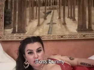 Boss_bunny