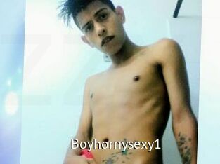 Boyhornysexy1