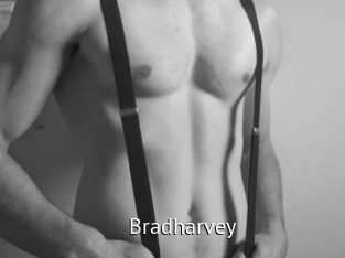 Bradharvey