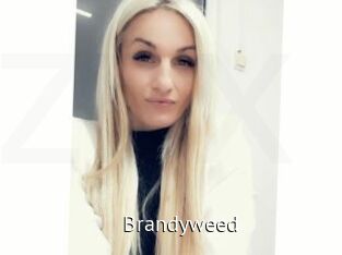 Brandyweed