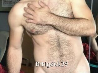 brbigdick29 Zizi X