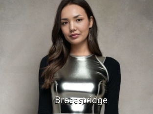Breeestridge