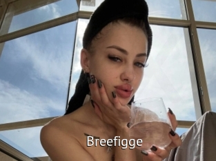 breefigge Zizi X