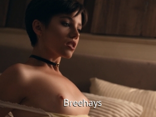 Breehays