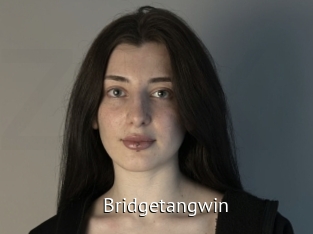 Bridgetangwin