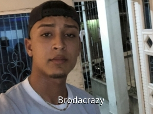 brodacrazy Zizi X