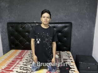 Brucearmin