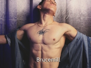 Brucemill