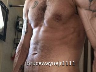 Brucewaynejr1111