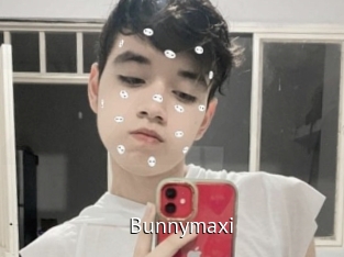 Bunnymaxi