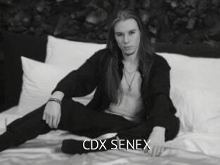 CDX_SENEX Zizi X