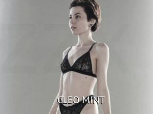 CLEO_MINT