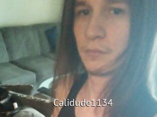 Calidude1134