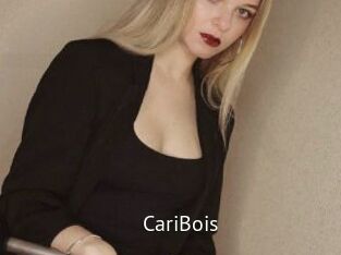 CariBois