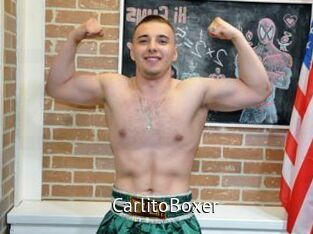 CarlitoBoxer