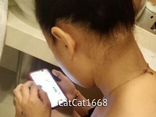 CatCat1668