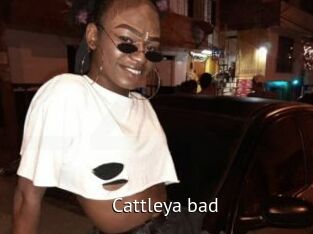 Cattleya_bad