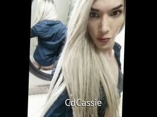 CdCassie Zizi X