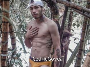 CedricGovea