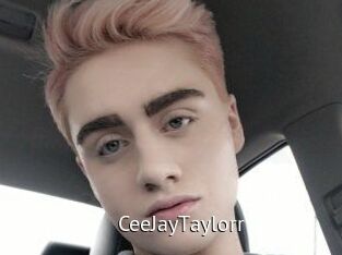 CeeJayTaylorr