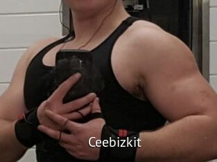 Ceebizkit