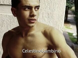 CelestinoGambino Zizi X