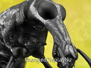 ChangedDisplayNu