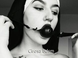Cirosa_bdsm Zizi X