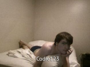 Codie123