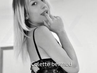 Colette_bermud