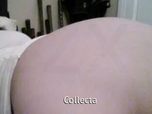 Collecta Zizi X