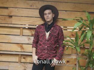 Conall_Hawk