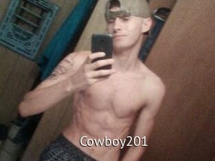 Cowboy201