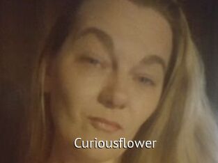 Curiousflower