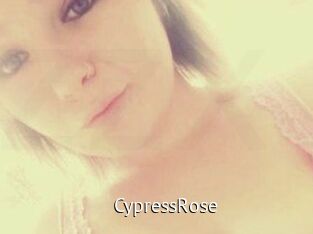Cypress_Rose