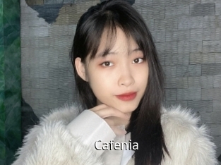 cafenia Zizi X