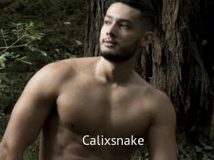 Calixsnake