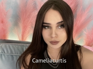 Cameliacurtis