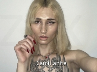 Camillanite