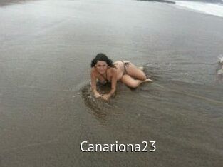 Canariona23