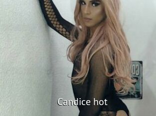 Candice_hot