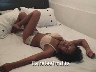 Canelaafrodita