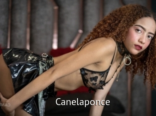 canelaponce Zizi X