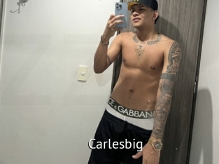 carlesbig Zizi X